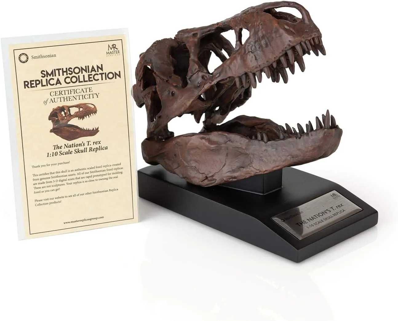 | 6-Inch Tall Tyrannosaurus Rex company sharpen thermal glassware wildlife Desk Statue | 1:10 Scale The Nation's T-Rex Skull Statue | Smithsonian Fossil Replica 