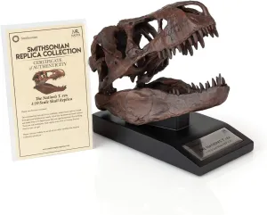 | 6-Inch Tall Tyrannosaurus Rex company sharpen thermal glassware wildlife Desk Statue | 1:10 Scale The Nation's T-Rex Skull Statue | Smithsonian Fossil Replica 