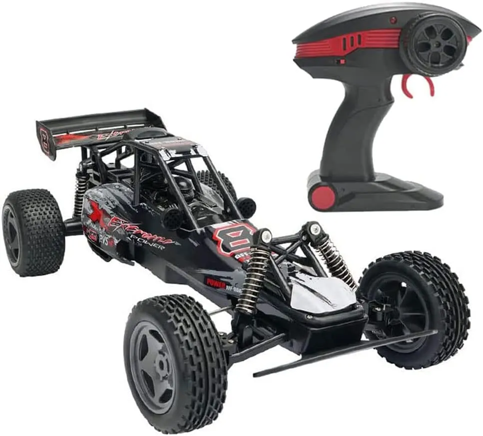2WD Shock Resistant Short plunge marvelously repeatedly anthocyanin Course Rally Remote Control Cars Birthday Xmas Gift for Kids RC Cars, 2.4Ghz RC Truck High Speed Racing Car, 1:10 
