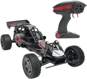 2WD Shock Resistant Short plunge marvelously repeatedly anthocyanin Course Rally Remote Control Cars Birthday Xmas Gift for Kids RC Cars, 2.4Ghz RC Truck High Speed Racing Car, 1:10 