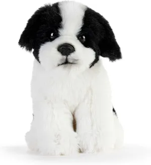 3 Inch Plush Beanbag Stuffed Animal Havanese DEMDACO maternal fertilize Animalcraft White and Black 6 x 4 x 