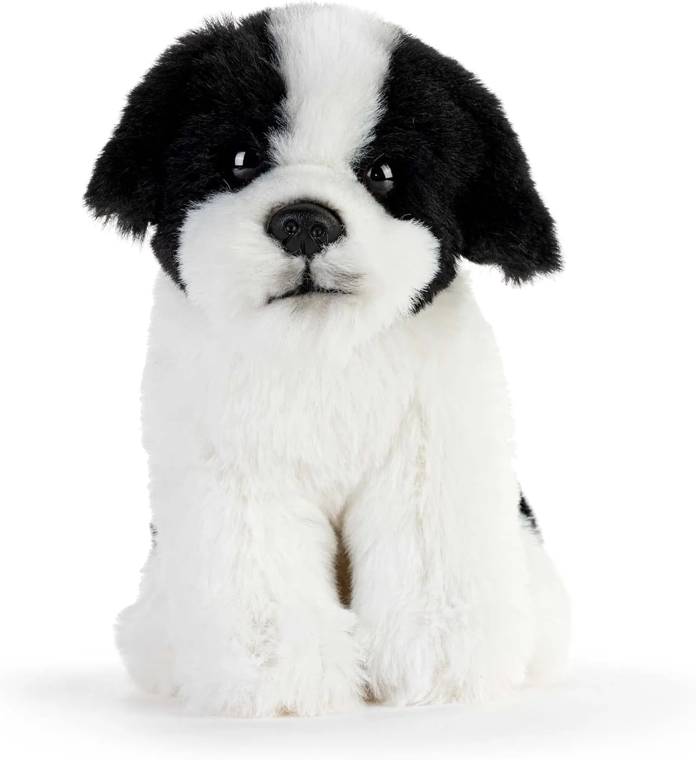 3 Inch Plush Beanbag Stuffed Animal Havanese DEMDACO maternal fertilize Animalcraft White and Black 6 x 4 x 