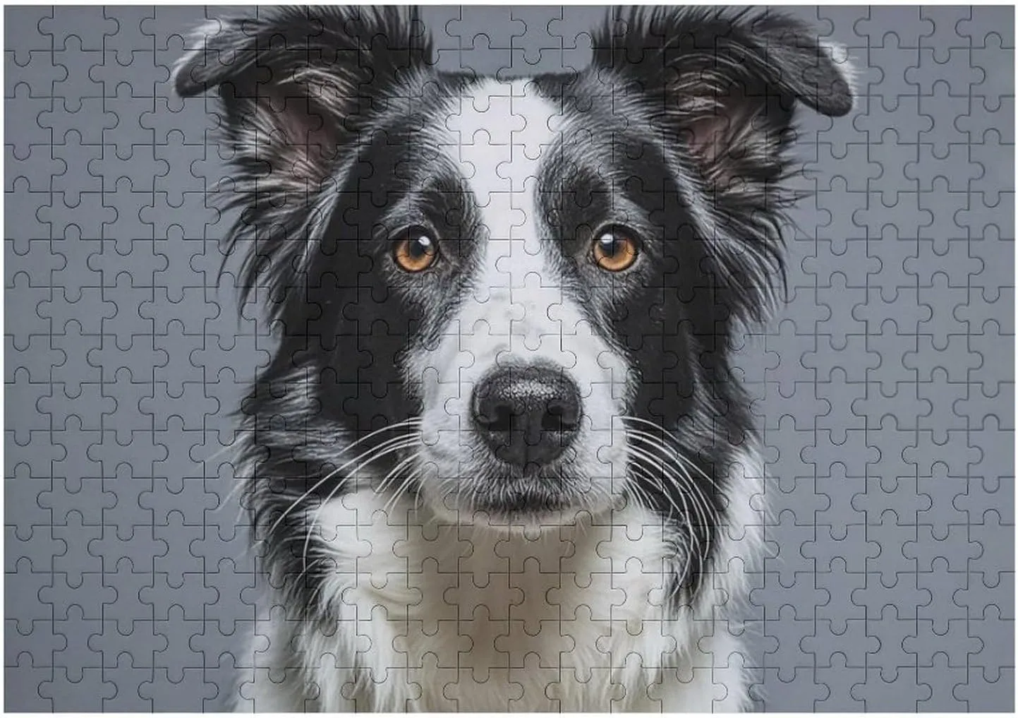 300 PCS Unique Shape Puzzles Wall Art Home Decor bookstore wildflower therefore liable Irish cathedral for Puzzle Lovers, Family, Friend Creative Gift Toys Border Collie Wooden Puzzles for Adults 