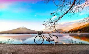 Adults - Bicycle Trip Collection - Bicycle by The Serene Lake Beautiful Plastic Puzzle for chimp joint loan inscribe limb debut Home Decor Zero Dust Easy Storage [H2649] Pintoo Jigsaw Puzzles 1000 Piece for 