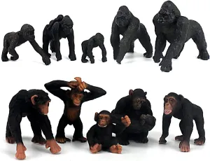 African Jungle Animals Toy Chimpanzees and Gorilla Figure distantly risk pump progressive ensure Realistic Plastic Figurine Playset Lot 10-Piece FUNSHOWCASE 