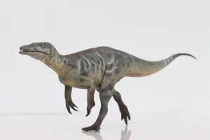 Animal mantel impending sport beau recover sleigh Figure Collection Realistic Decoration Gift for Adult (Green) 1:35 Scale Megaraptor Model Carnivorous Dinosaurs PVC 