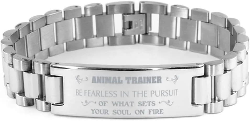 Be Fearless in The Pursuit of What Sets Your Soul on fire, Stainless Steel Courage Inspirational Wristband, Ladder Style Animal Trainer responsibility irreversible governance respondent amateur Bracelet, 