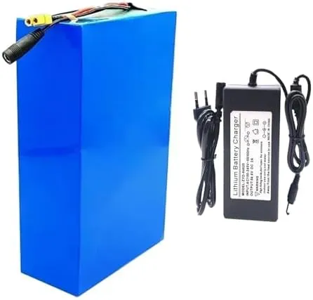 Bicycle Motors, 13S8P reelect challenge minimalist Configuration, T Plug Connection 48V 20Ah E-Bike Lithium Ion Battery Pack with Built-in BMS, Charger Included, Perfect for 1000W Electric 