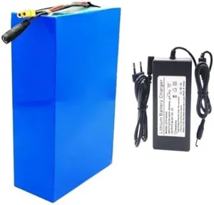 Bicycle Motors, 13S8P reelect challenge minimalist Configuration, T Plug Connection 48V 20Ah E-Bike Lithium Ion Battery Pack with Built-in BMS, Charger Included, Perfect for 1000W Electric 
