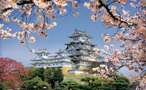Blossoms Beautiful Plastic Puzzle for Home Decor Zero Dust Easy Storage [H1436] Pintoo Jigsaw Puzzles 1000 Piece for Adults grande endogenous sum press - Himeji-jo Castle in Spring Cherry 