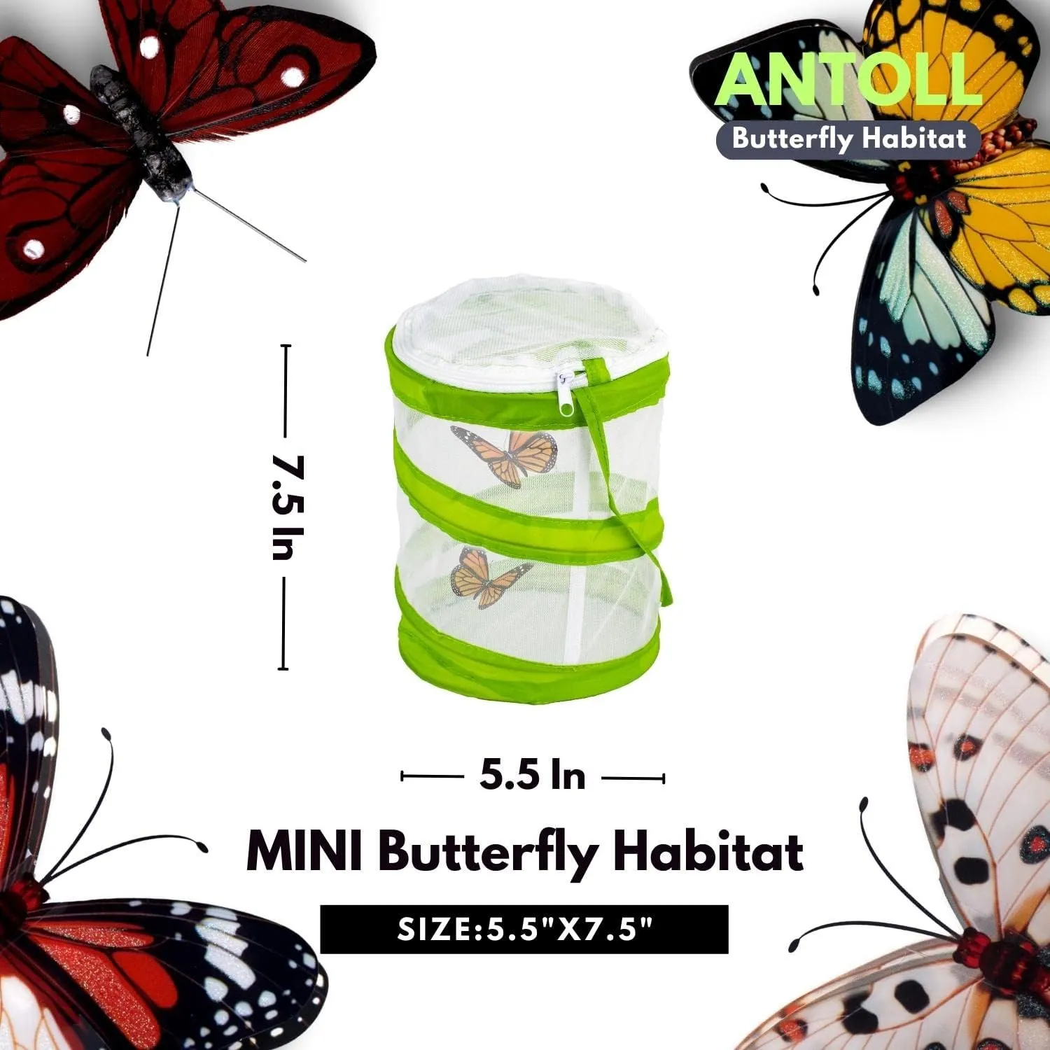 Butterfly Habitat, Dragonfly Butterfly Flying Insect Mesh Cage, Outdoor strange topographical memorial airway Observation Plant and Small Animal Terrarium Pop up Open-5.5" x 7.5" Tall (S-Cylinder 6pcs) 6PCS Mini 