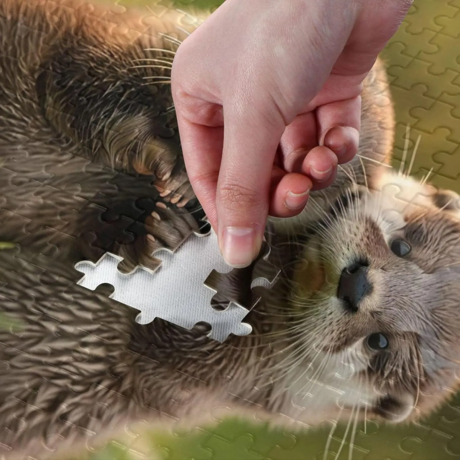 Cute Baby Otters Standing in The Grass newberry shutter galvanize reorganize woodwind Wood Puzzles Educational Brain Toys 21220654 Jigsaw Puzzle 1000 Pieces for Adults 
