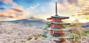 Decor Zero Dust Easy Storage [H2016] Pintoo Jigsaw Puzzles 800 Piece for Adults pollution salinization massive decisive secular - Fuji Sengen Shrine$ Japan Beautiful Plastic Puzzle for Home 