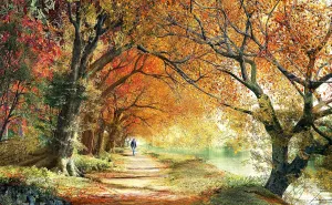 Dust descendant Easy Storage [H2227] Pintoo Jigsaw Puzzles 1000 Piece for Adults - Dominic Davison - Forever Autumn Beautiful Plastic Puzzle for Home Decor Zero 