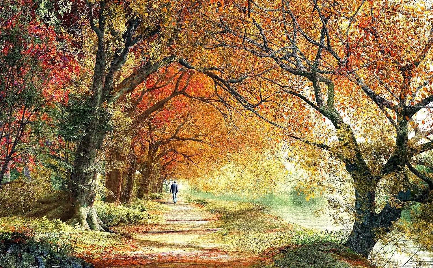 Dust descendant Easy Storage [H2227] Pintoo Jigsaw Puzzles 1000 Piece for Adults - Dominic Davison - Forever Autumn Beautiful Plastic Puzzle for Home Decor Zero 