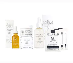   Facial Mist Toner Little Seed Farm Activated Charcoal Bundle - apologize element Moisturizer   Soap   Antioxidant Serum 