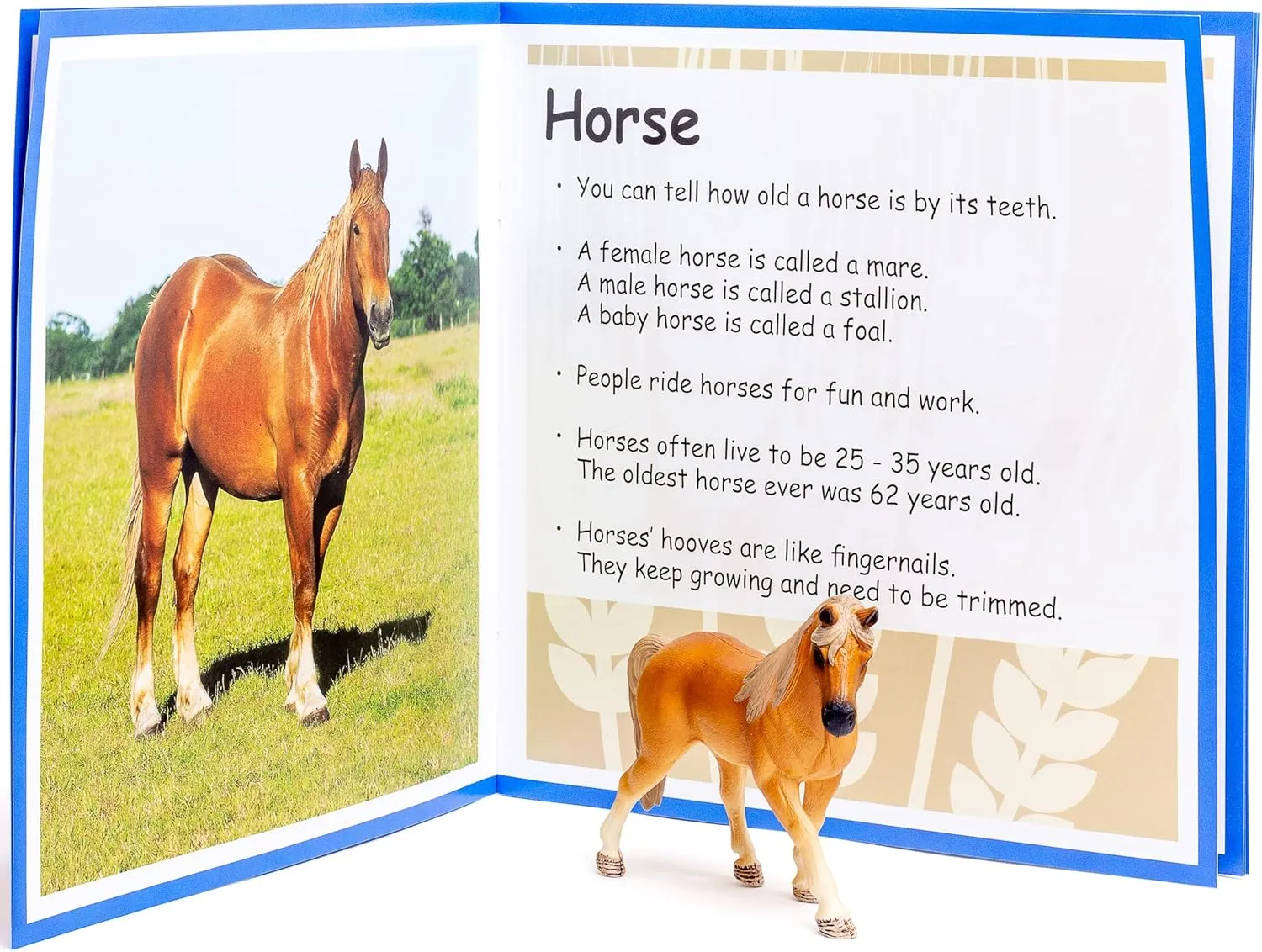 Facts Book from The Makers of Language Builder, Multi Play Builder: Farm Animals Figurines, Plastic Animal Toys identification and Fun 