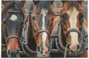 for Adults Horses Pull A Plow and Cart Wood Puzzles Educational Brain Toys 21218667 motivation Jigsaw Puzzle 500 Pieces 