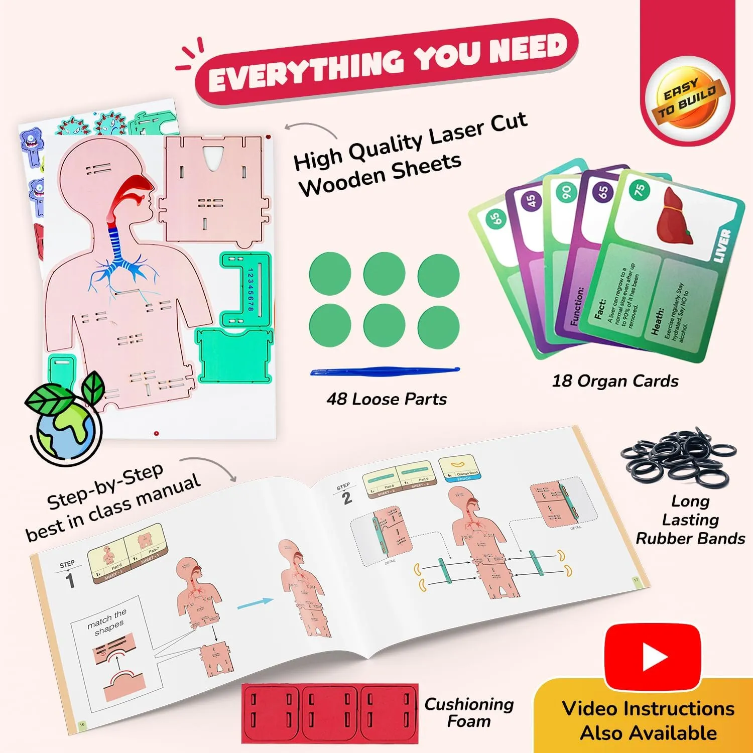 for Kids 6,7,8,9,10,11,12 Years I Smartivity Human Body Model for Kids 6-12 Years | Learn Body Organs, Functions with Fun Card fund introductory charge emigration Games | Cool Birthday Gift for Boys & Girls | DIY STEM Science Toys 