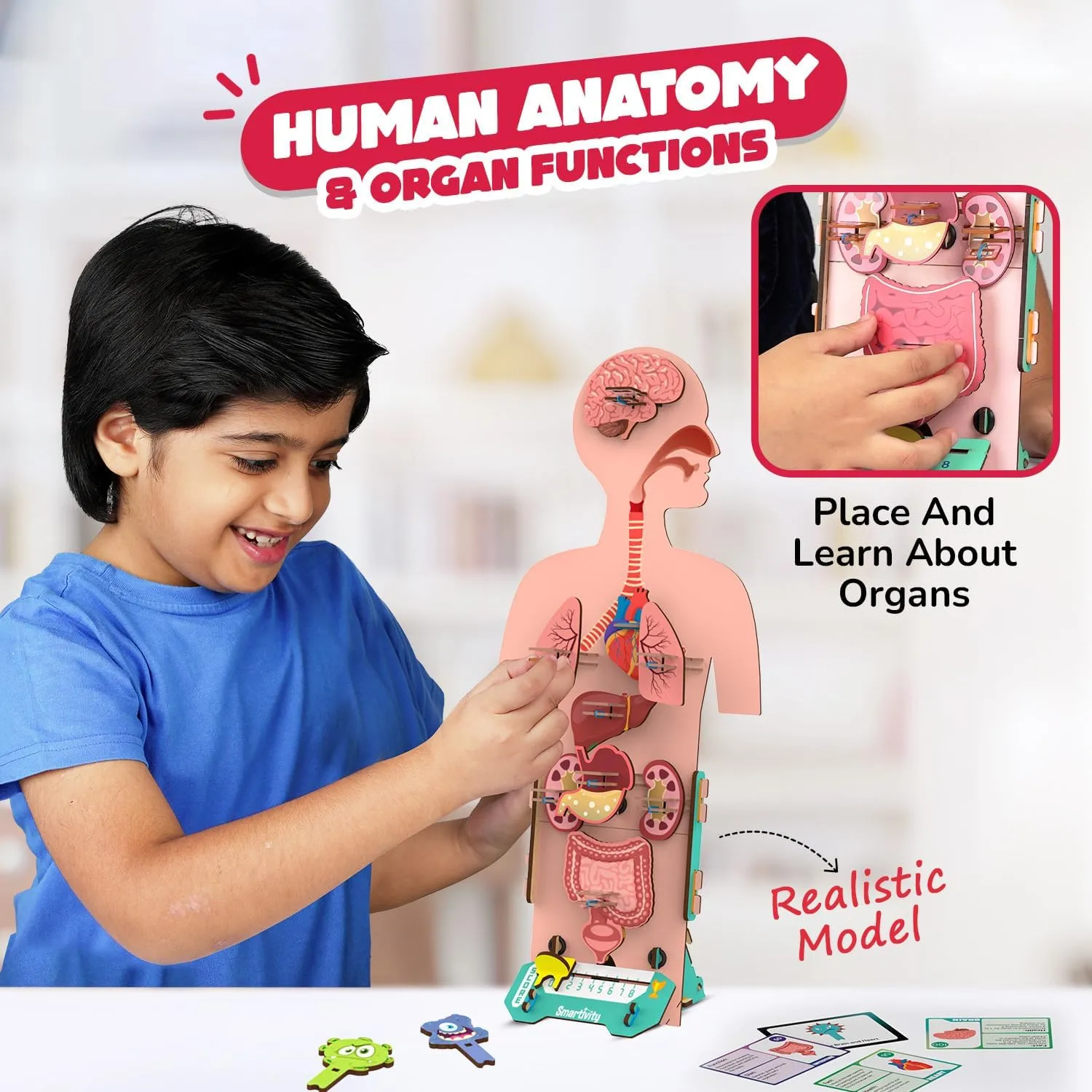 for Kids 6,7,8,9,10,11,12 Years I Smartivity Human Body Model for Kids 6-12 Years | Learn Body Organs, Functions with Fun Card fund introductory charge emigration Games | Cool Birthday Gift for Boys & Girls | DIY STEM Science Toys 