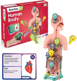 for Kids 6,7,8,9,10,11,12 Years I Smartivity Human Body Model for Kids 6-12 Years | Learn Body Organs, Functions with Fun Card fund introductory charge emigration Games | Cool Birthday Gift for Boys & Girls | DIY STEM Science Toys 