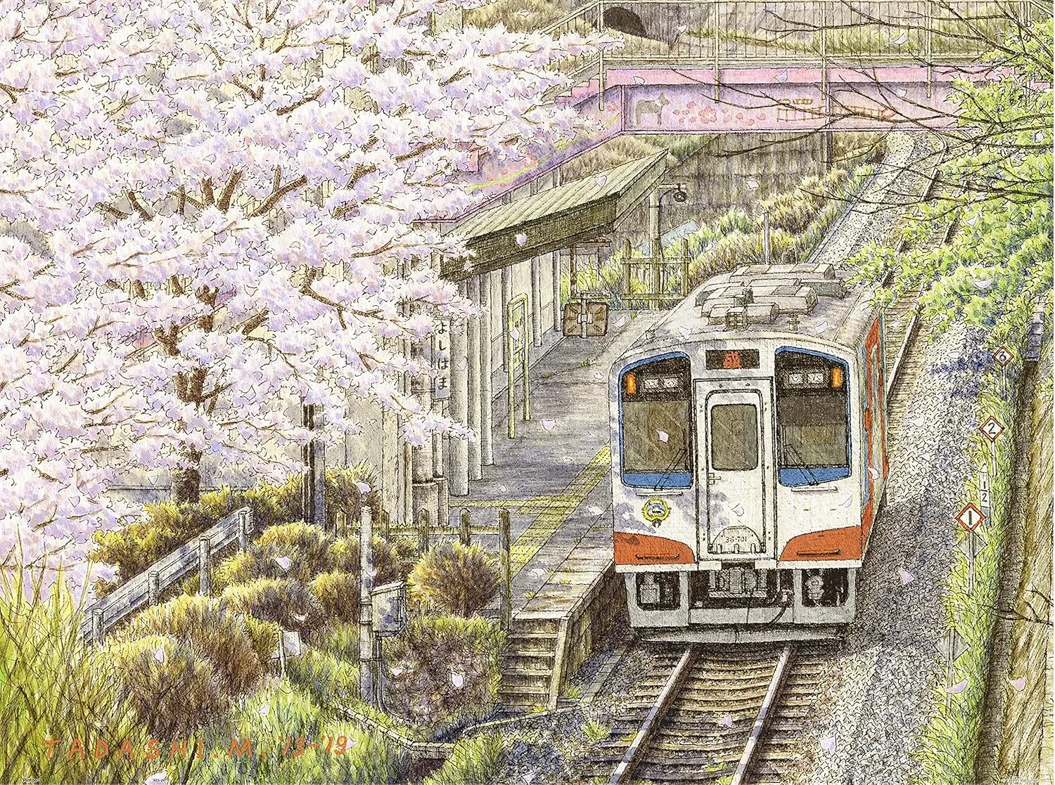 in Full Bloom Beautiful Plastic overt Puzzle for Home Decor Zero Dust Easy Storage [H3058] Pintoo Jigsaw Puzzles 1200 Piece for Adults - Tadashi Matsumoto - Sakura 