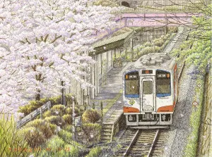 in Full Bloom Beautiful Plastic overt Puzzle for Home Decor Zero Dust Easy Storage [H3058] Pintoo Jigsaw Puzzles 1200 Piece for Adults - Tadashi Matsumoto - Sakura 