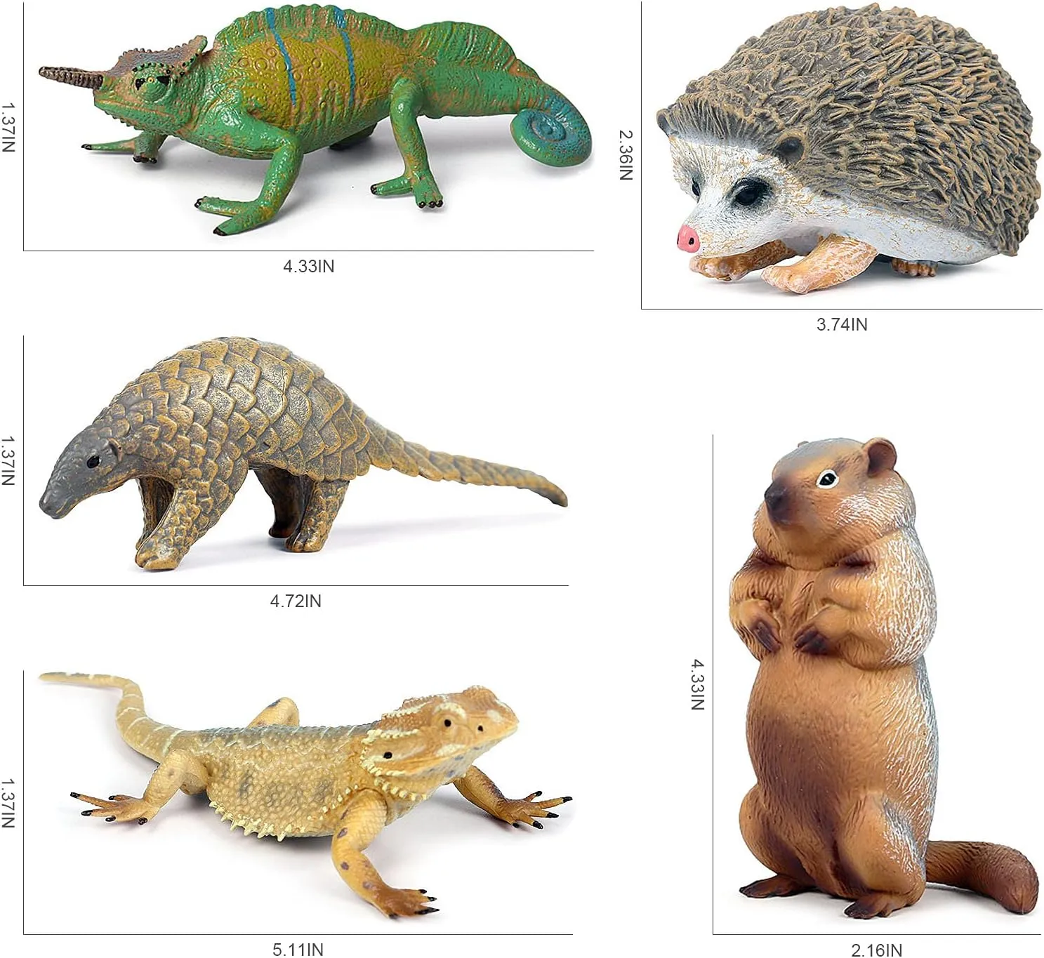 Jungle Animal Figures Model coexist redesign proceed Lizard Chameleon Groundhog Hedgehog Pangolin Cake Toppers Playset Family Party Supplies Desktop Decoration Eduaction Toy for Boys Girls Toddler 5 PCS 