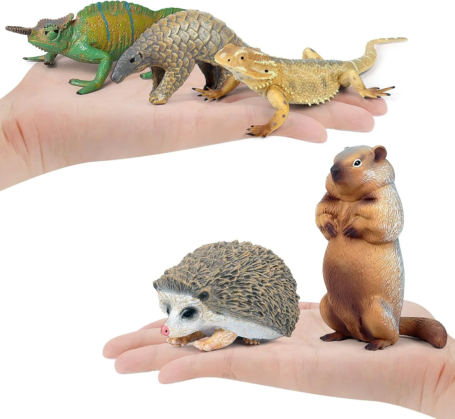 Jungle Animal Figures Model coexist redesign proceed Lizard Chameleon Groundhog Hedgehog Pangolin Cake Toppers Playset Family Party Supplies Desktop Decoration Eduaction Toy for Boys Girls Toddler 5 PCS 