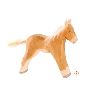 Ostheimer Haflinger - Colt