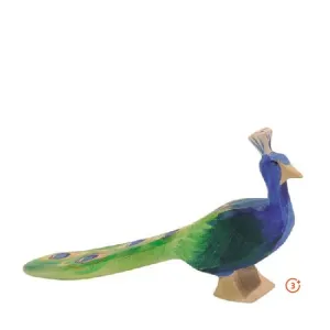 Ostheimer Peacock