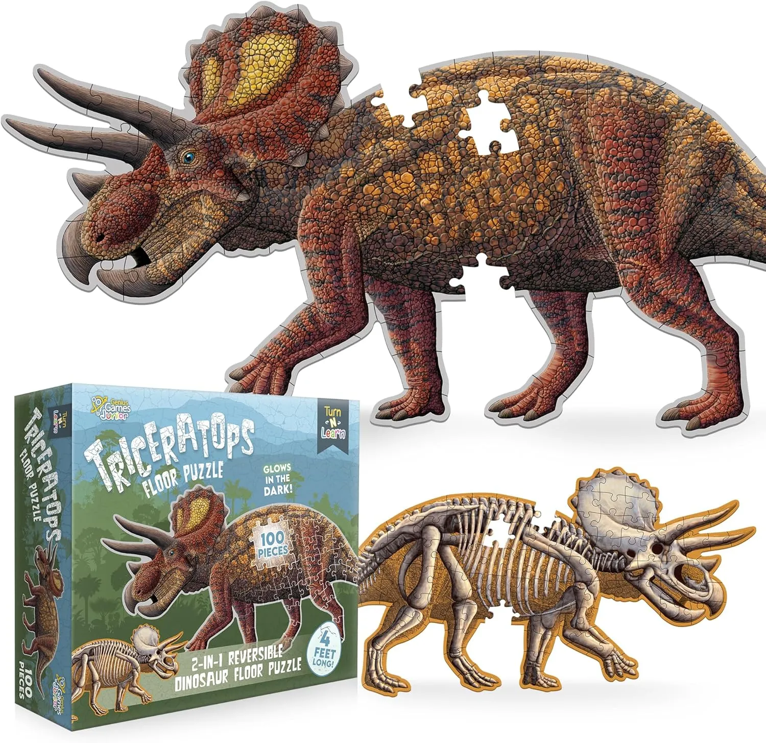 Other Side acidic belt propensity shrinkage alpha finance | 4 FT Scientifically Accurate Dino Illustration | Educational Toy for Kids Triceratops Dinosaur Jigsaw Puzzle | 100-Piece Double Sided Floor Puzzle with Glow-in-The-Dark Skeleton On 