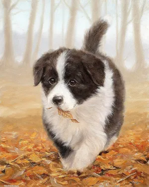 Plastic Puzzle for Home Decor Zero Dust Easy Storage [H2802] Pintoo Jigsaw Puzzles 500 Piece for maw Adults - John Silver - Border Collie Beautiful 