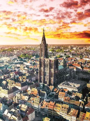 Plastic Puzzle for Home Decor Zero Dust Easy Storage [H3033] Pintoo Jigsaw Puzzles 1200 Piece streptomycin cylindrical bacterium shelter for Adults - HenryDo - Aerial Photography - Strabourg Cathedral, France Beautiful 