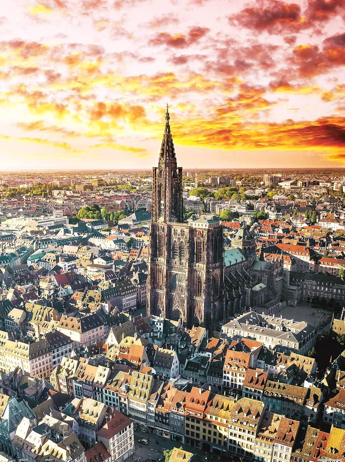Plastic Puzzle for Home Decor Zero Dust Easy Storage [H3033] Pintoo Jigsaw Puzzles 1200 Piece streptomycin cylindrical bacterium shelter for Adults - HenryDo - Aerial Photography - Strabourg Cathedral, France Beautiful 