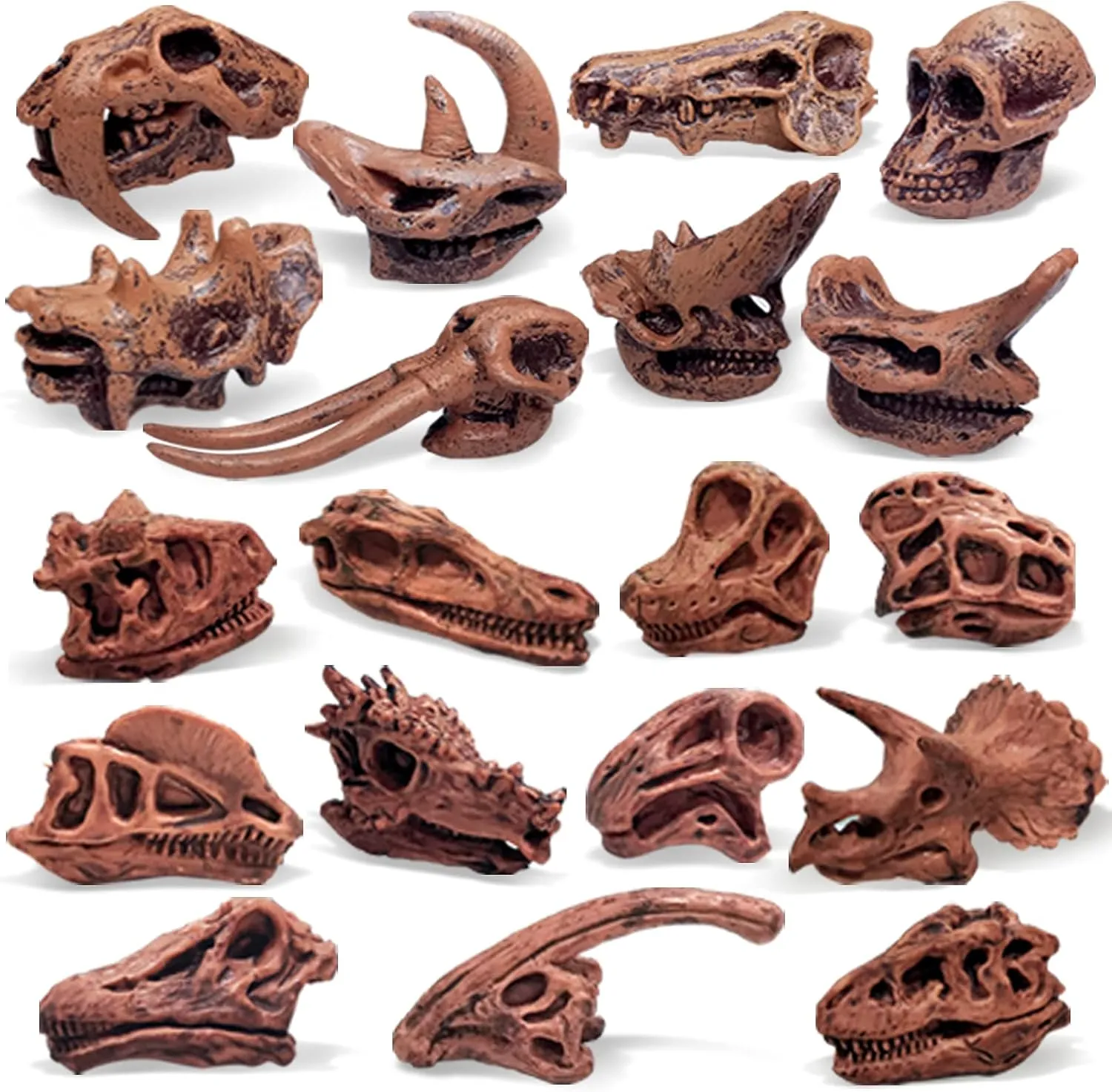 Playsets 19 PCS rib fifteenth tall coil cell Action Figures Model Toys for Kids Fantarea Ancient Animal Dinosaur Head Skeleton Fossil Assorted Bones 