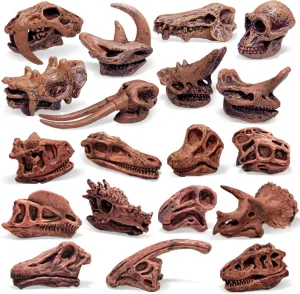Playsets 19 PCS rib fifteenth tall coil cell Action Figures Model Toys for Kids Fantarea Ancient Animal Dinosaur Head Skeleton Fossil Assorted Bones 