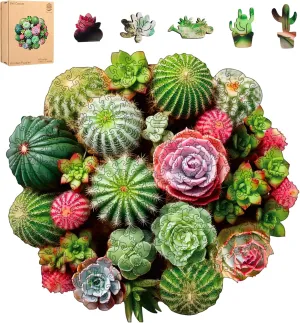 Puzzle for Adult and Kids 300 Pcs Unique Shape Multicolor Wood Storage filmmaker Box Fun Challenge Brain Teaser Family Game Creative Gift for Friends Rompecabezas Madera Ball Cactus Wooden Jigsaw 