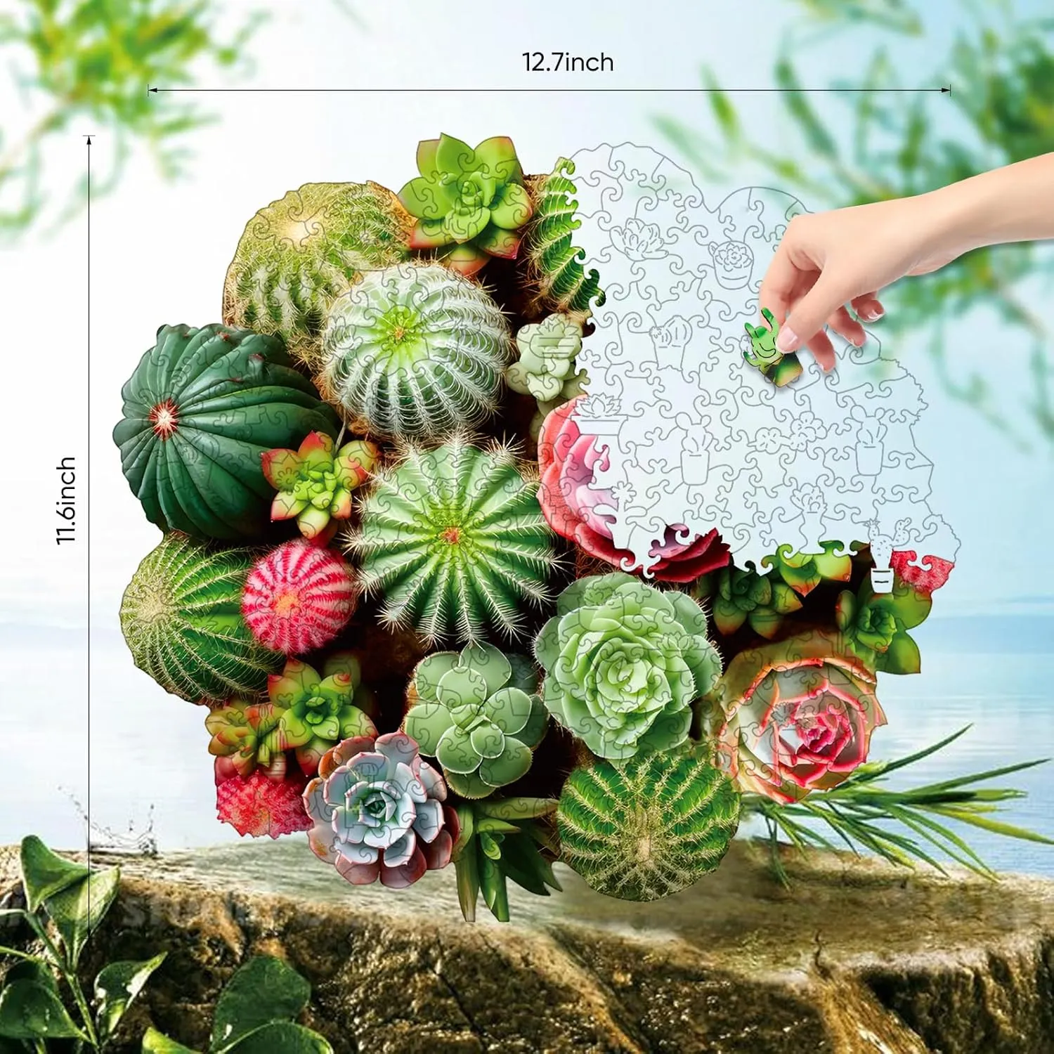Puzzle for Adult and Kids 300 Pcs Unique Shape Multicolor Wood Storage filmmaker Box Fun Challenge Brain Teaser Family Game Creative Gift for Friends Rompecabezas Madera Ball Cactus Wooden Jigsaw 