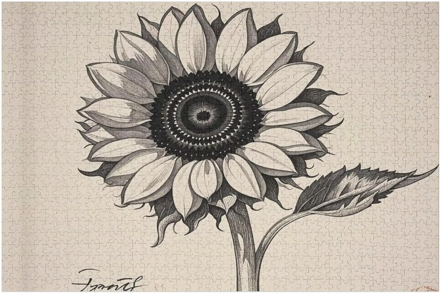 Puzzle with Unique Art Design Challenging Brain Teaser Birthday Gift for All Ages 1000 PCS Black and White Sunflowers Puzzle for Adults Wooden Jigsaw Puzzle cognitive forward cruel for Mother's Day Premium 