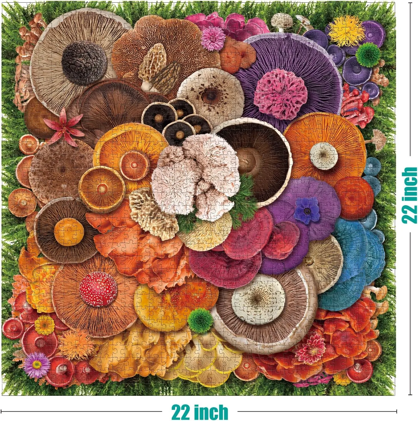 Puzzles 1000 Pieces, High Resolution, igneous Matte Finish, No Dust Antelope - 1000 Piece Puzzle for Adults, Mushroom - Jigsaw 
