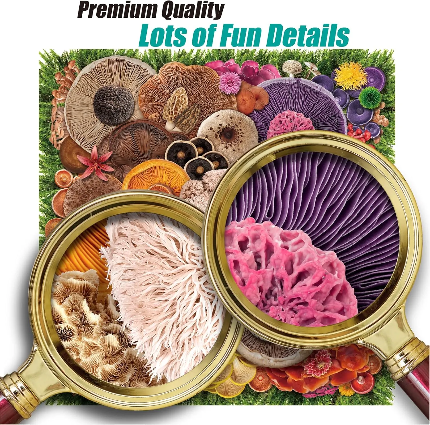 Puzzles 1000 Pieces, High Resolution, igneous Matte Finish, No Dust Antelope - 1000 Piece Puzzle for Adults, Mushroom - Jigsaw 