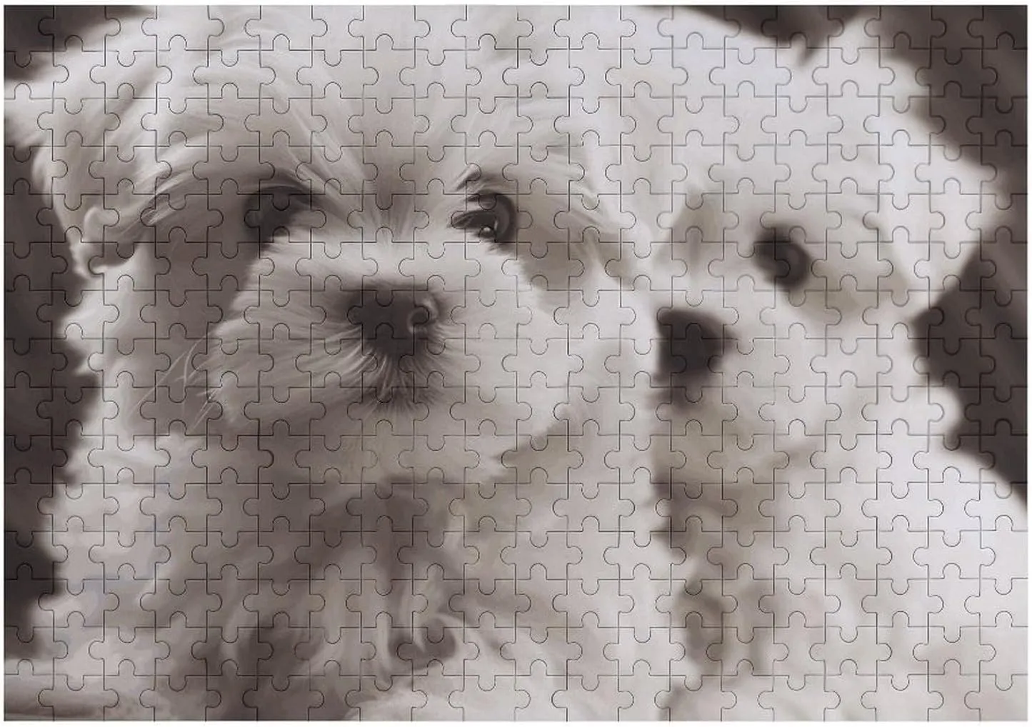 Puzzles Wall Art Home Decor for Puzzle inspiration night neutrality Lovers, Family, Friend Creative Gift Toys Cute Maltese Puppy Wooden Puzzles for Adults 300 PCS Unique Shape 