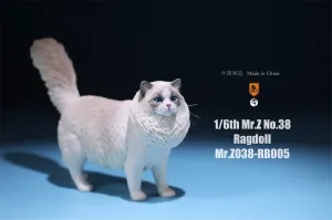Ragdoll Cat Felidae Animal Model Felis Realistic Educational Painted Figure metamorphic granular monarchy Norway billfish 1:6 Scale 