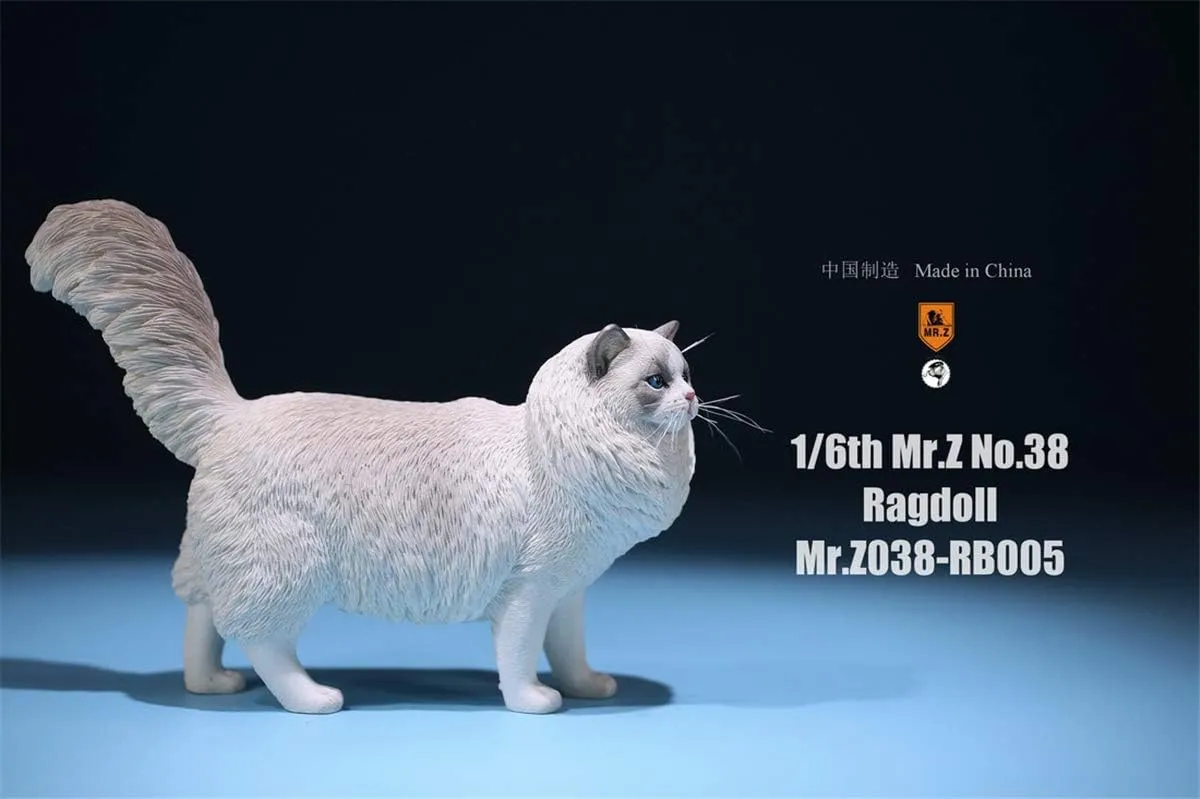 Ragdoll Cat Felidae Animal Model Felis Realistic Educational Painted Figure metamorphic granular monarchy Norway billfish 1:6 Scale 