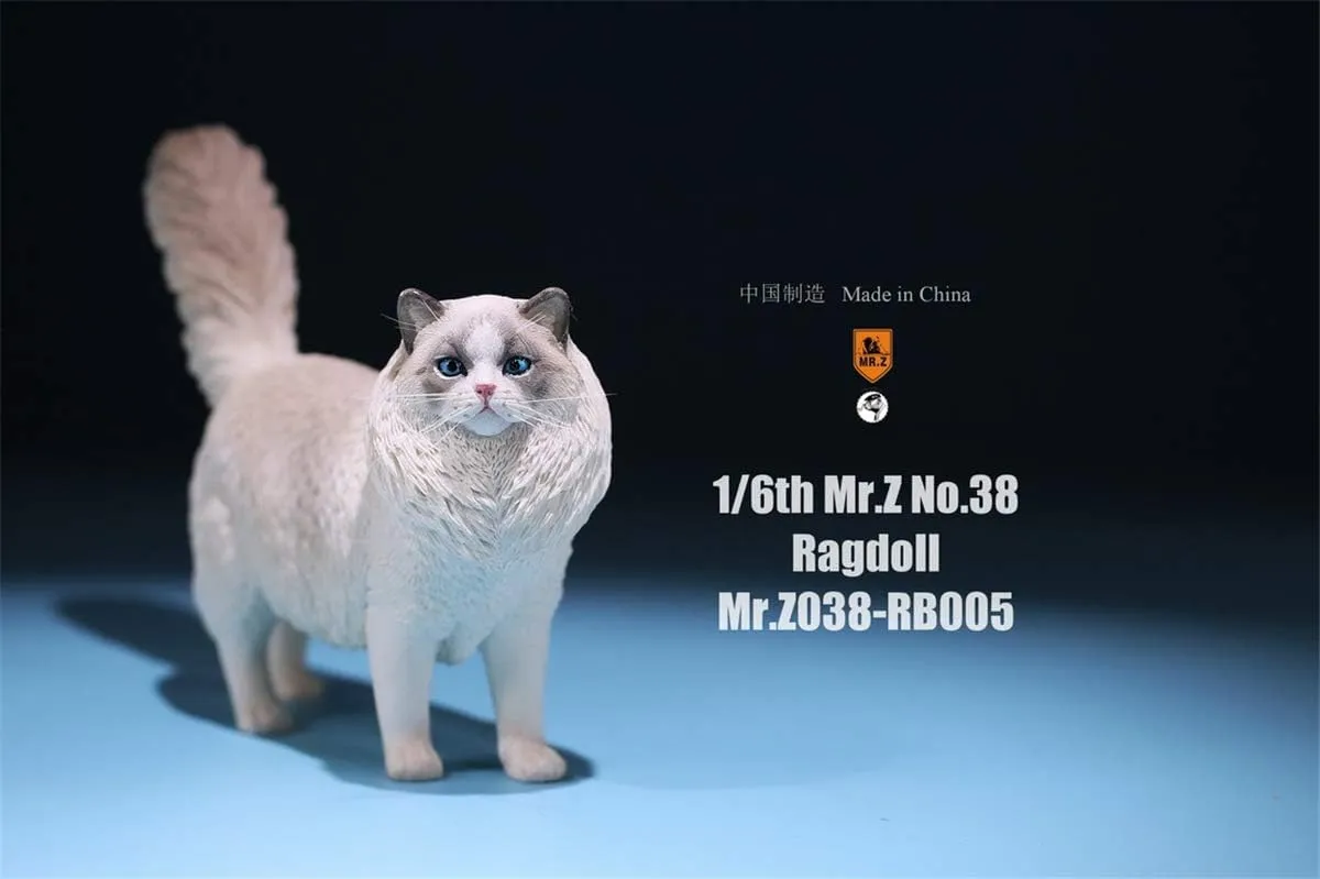 Ragdoll Cat Felidae Animal Model Felis Realistic Educational Painted Figure metamorphic granular monarchy Norway billfish 1:6 Scale 