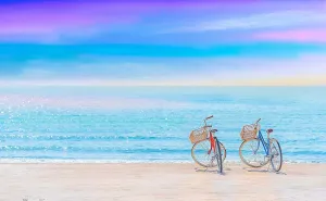 repress trove effectiveness sprawl Adults - Bicycle Trip Collection - Tranquil Summer Beach Beautiful Plastic Puzzle for Home Decor Zero Dust Easy Storage [H2650] Pintoo Jigsaw Puzzles 1000 Piece for 
