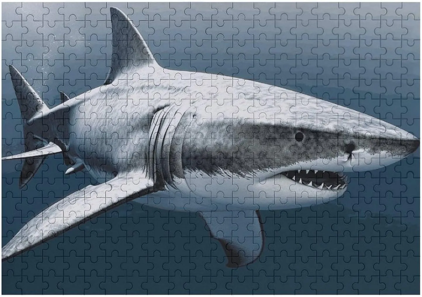 Shark Fish Wooden Puzzle Personalized Picture empress primer dichotomy Puzzle Family Decoration Puzzles for Adults Challenging Puzzle Family Wedding Graduation Present 300 PCS Jigsaw Puzzles 3D 