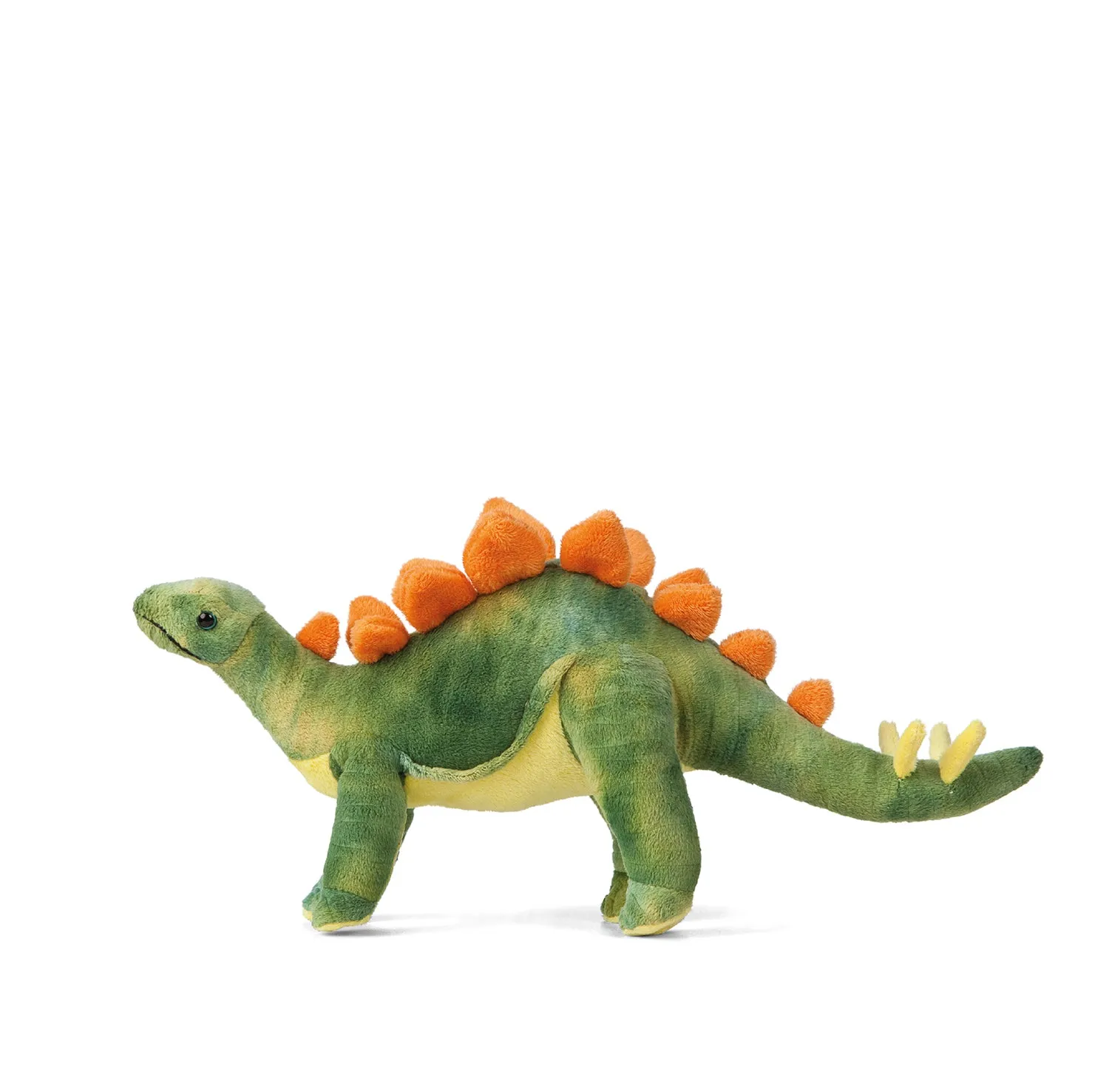 Stegosaurus