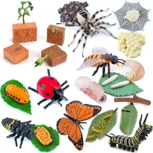 Supplies Cognitive Toy for Boys Girls sift Kids 20 PCS Insect Animal Life Cycle Model Figure Plant Spider Bee Butterfly Figurines Ornament Cake Toppers Party Favors 